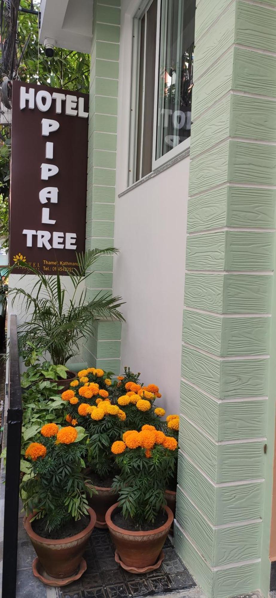 Hotel Pipal Tree Káthmándú Exteriér fotografie